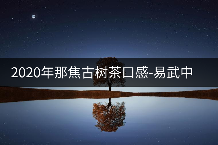 2020年那焦古樹茶口感-易武中聘號 2020年那焦古樹茶口感-易武中聘號