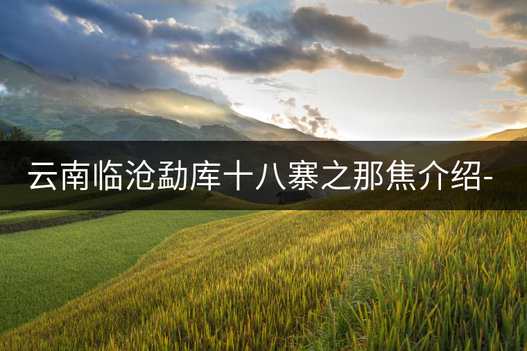 云南臨滄勐庫十八寨之那焦介紹-易武中聘號 云南臨滄勐庫十八寨之那焦介紹-易武中聘號