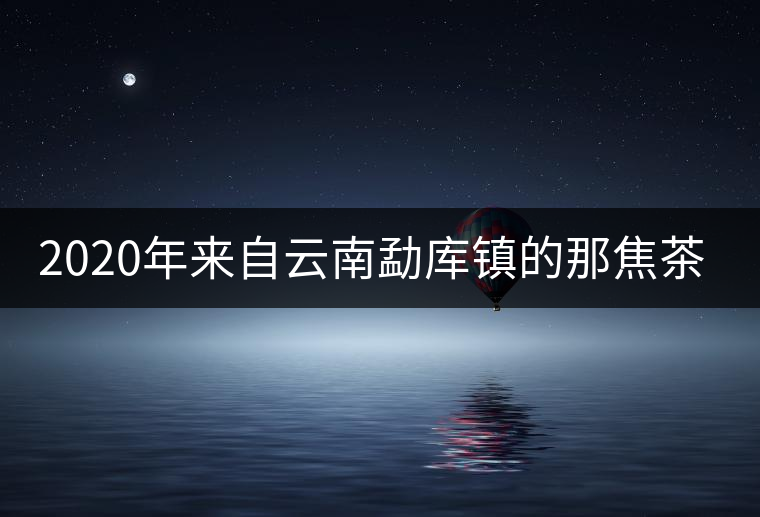 2020年來自云南勐庫鎮(zhèn)的那焦茶-易武中聘號