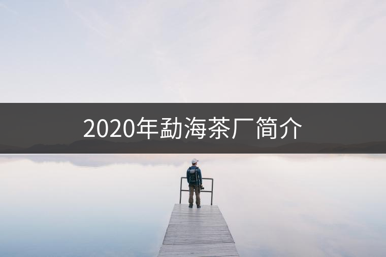 2020年勐海茶廠簡(jiǎn)介