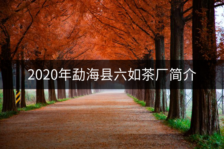 2020年勐?？h六如茶廠簡(jiǎn)介