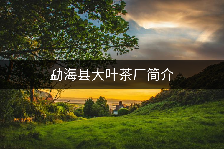 勐海縣大葉茶廠簡(jiǎn)介 勐海縣大葉茶廠簡(jiǎn)介