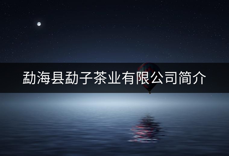 勐?？h勐子茶業(yè)有限公司簡介