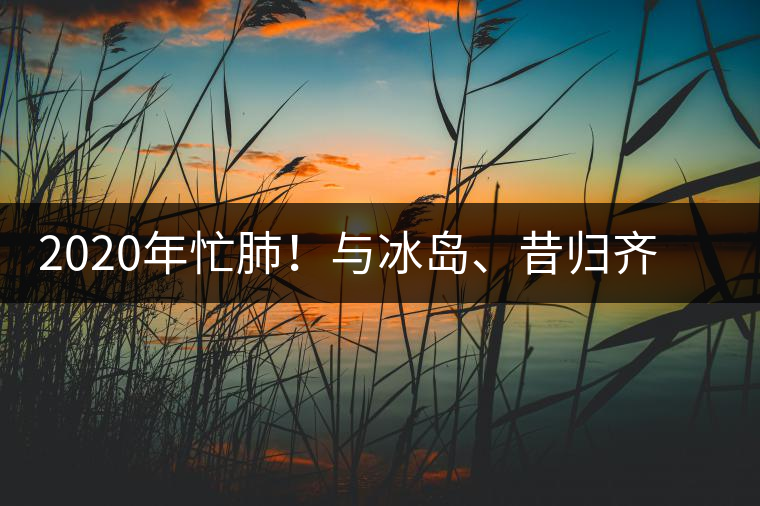 2020年忙肺！與冰島、昔歸齊名的普洱茶，到底是什么味道？-易武中聘號