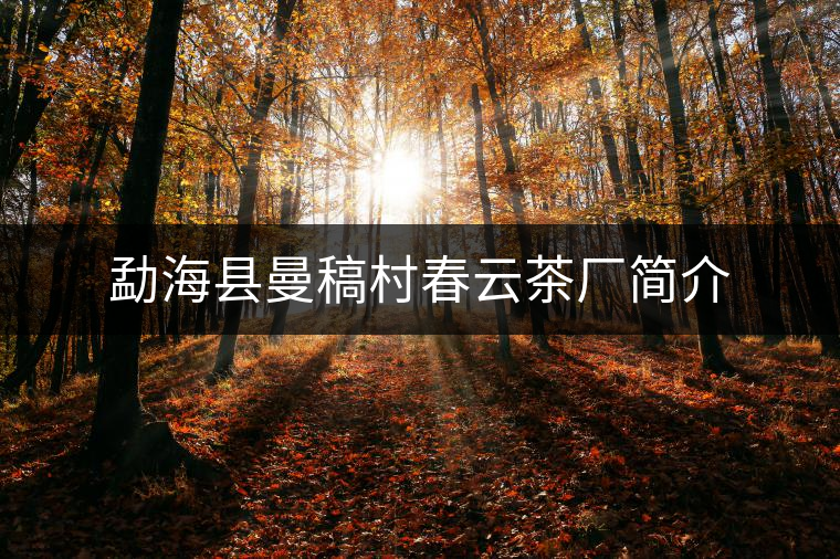 勐海縣曼稿村春云茶廠簡(jiǎn)介 勐??h曼稿村春云茶廠簡(jiǎn)介