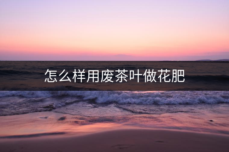 怎么樣用廢茶葉做花肥 怎么樣用廢茶葉做花肥