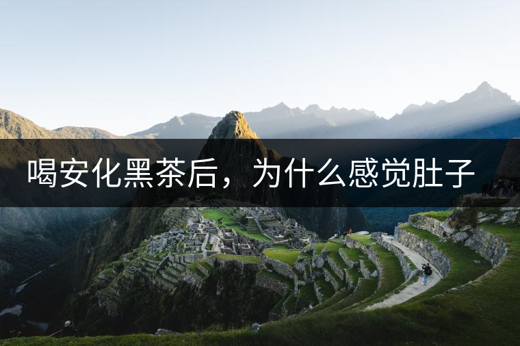 喝安化黑茶后，為什么感覺肚子餓的快？