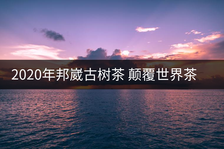 2020年邦崴古樹茶 顛覆世界茶葉原產(chǎn)地的發(fā)現(xiàn)-易武中聘號 2020年邦崴古樹茶 顛覆世界茶葉原產(chǎn)地的發(fā)現(xiàn)-易武中聘號