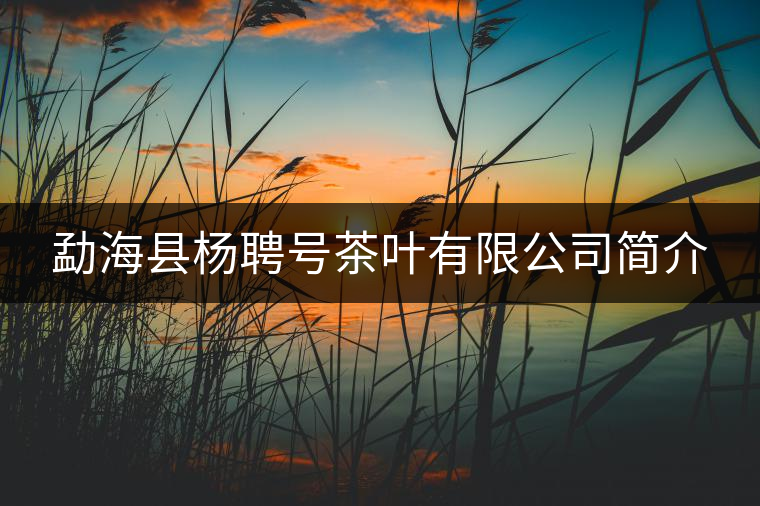 勐?？h楊聘號茶葉有限公司簡介