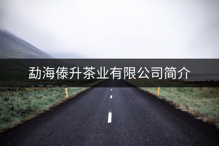 勐海傣升茶業(yè)有限公司簡介