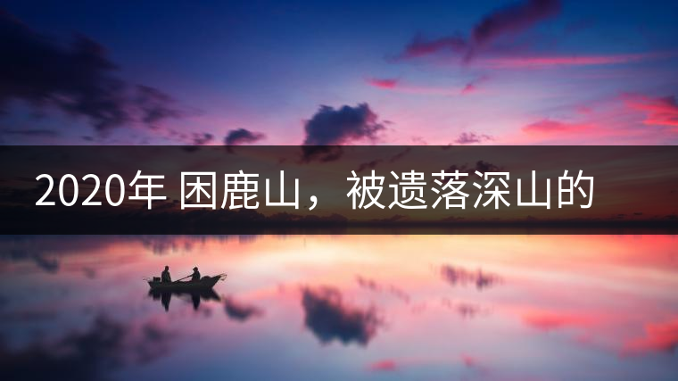 2020年 困鹿山，被遺落深山的皇家古茶園-易武中聘號(hào)