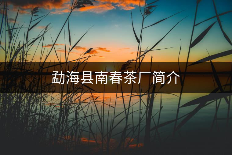 勐??h南春茶廠簡(jiǎn)介 勐??h南春茶廠簡(jiǎn)介