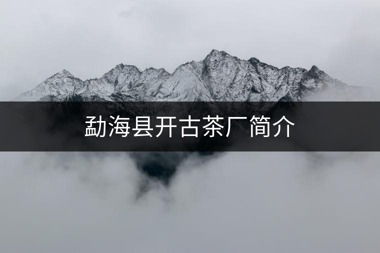 勐?？h開古茶廠簡(jiǎn)介