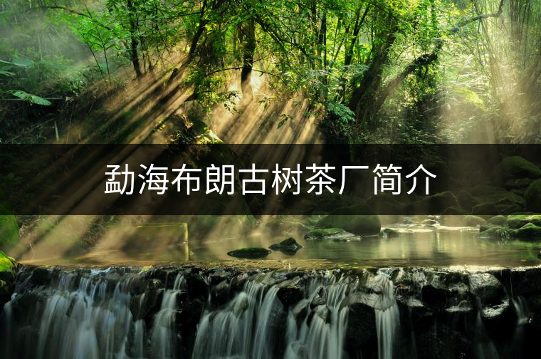 勐海布朗古樹茶廠簡介 勐海布朗古樹茶廠簡介