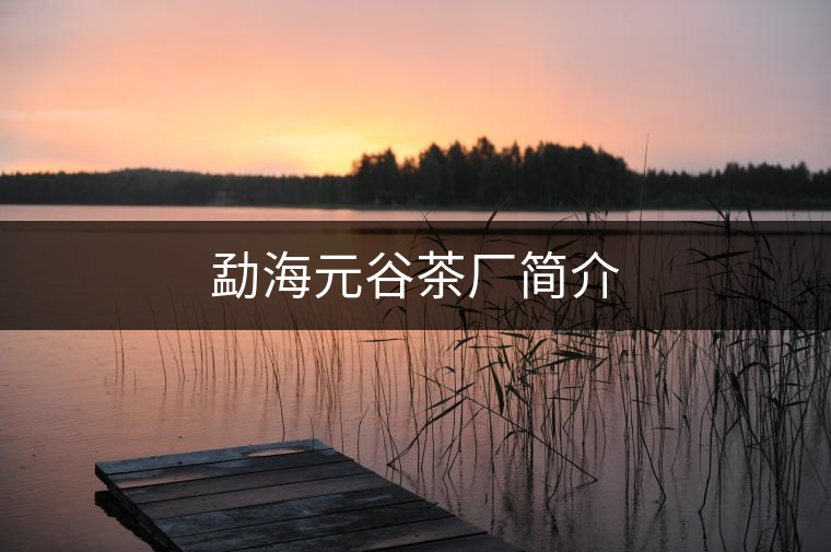 勐海元谷茶廠簡(jiǎn)介 勐海元谷茶廠簡(jiǎn)介