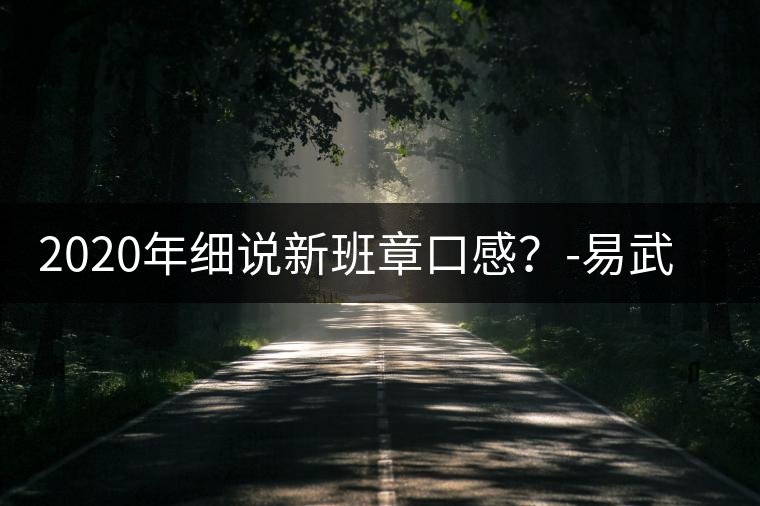 2020年細(xì)說新班章口感？-易武中聘號