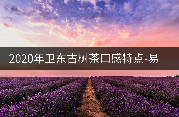 2020年衛(wèi)東古樹茶口感特點-易武中聘號 2020年衛(wèi)東古樹茶口感特點-易武中聘號