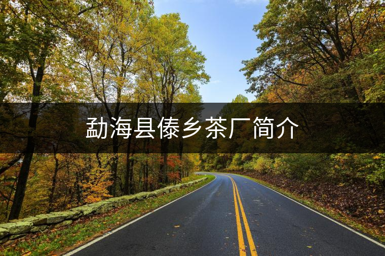 勐??h傣鄉(xiāng)茶廠簡介 勐海縣傣鄉(xiāng)茶廠簡介