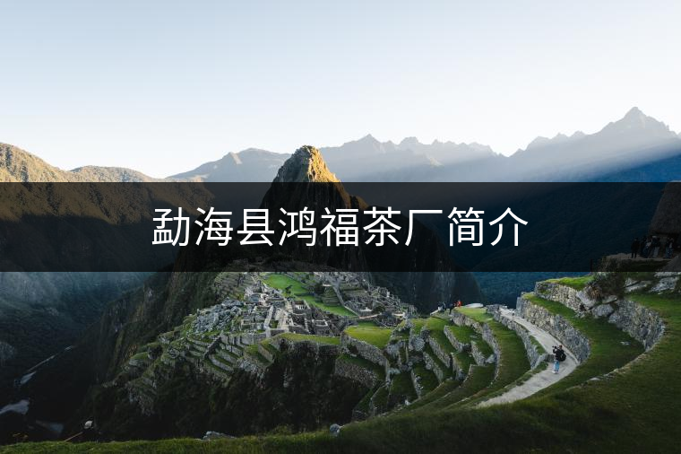 勐?？h鴻福茶廠簡介