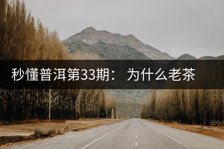秒懂普洱第33期： 為什么老茶客都喜歡用紫砂壺泡普洱茶？