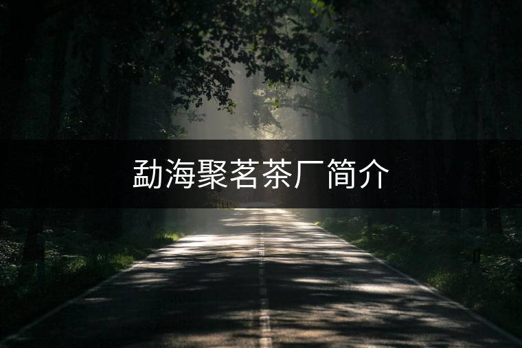 勐海聚茗茶廠簡介 勐海聚茗茶廠簡介