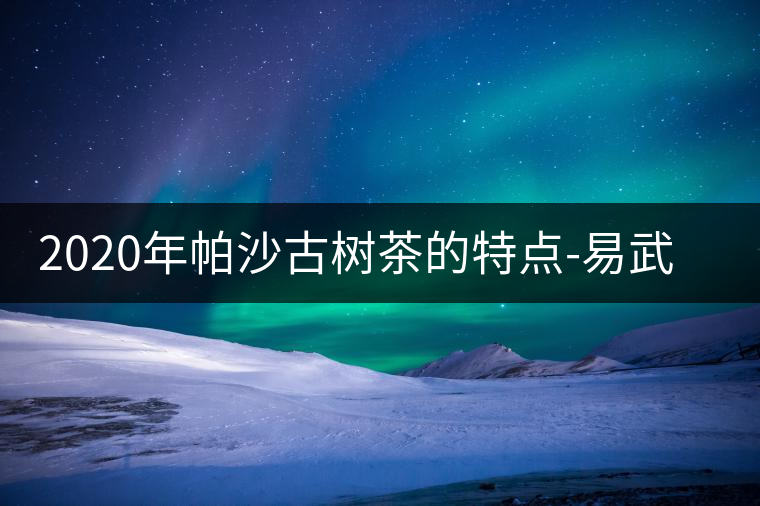 2020年帕沙古樹茶的特點(diǎn)-易武中聘號(hào)