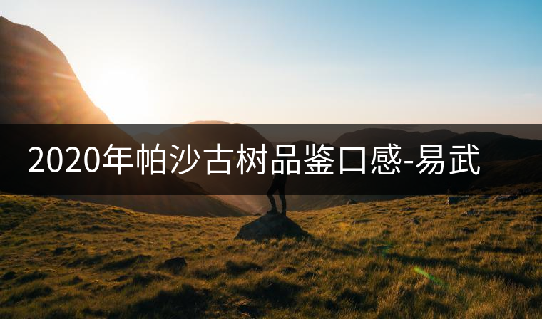 2020年帕沙古樹品鑒口感-易武中聘號 2020年帕沙古樹品鑒口感-易武中聘號