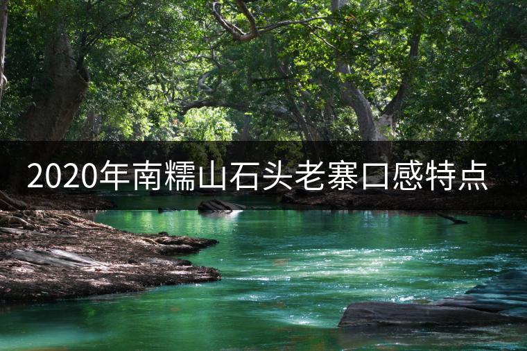 2020年南糯山石頭老寨口感特點(diǎn)-易武中聘號