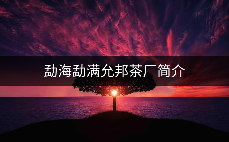 勐海勐滿允邦茶廠簡介 勐海勐滿允邦茶廠簡介