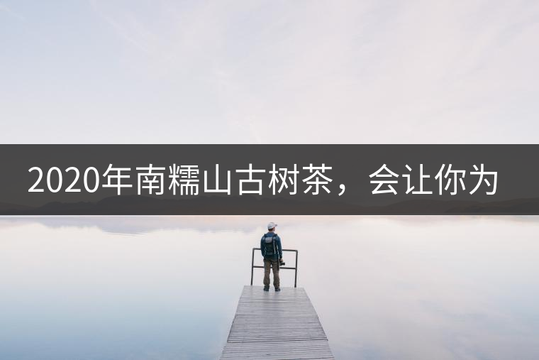 2020年南糯山古樹(shù)茶，會(huì)讓你為之著迷-易武中聘號(hào)