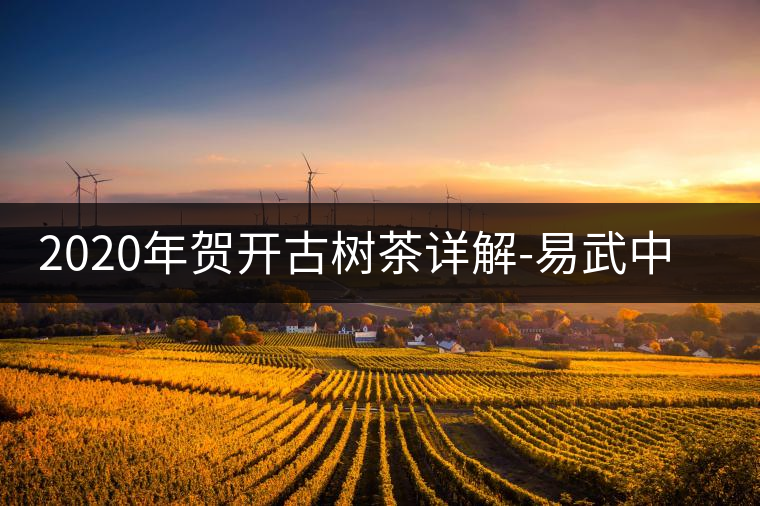 2020年賀開古樹茶詳解-易武中聘號(hào)