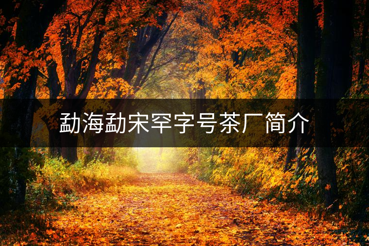 勐海勐宋罕字號(hào)茶廠簡(jiǎn)介