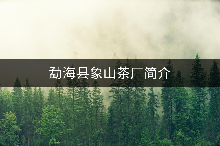 勐??h象山茶廠簡介 勐海縣象山茶廠簡介
