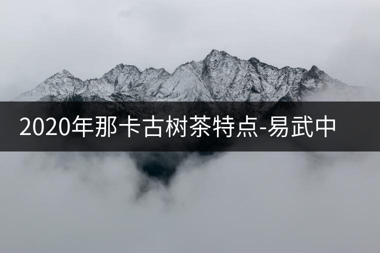 2020年那卡古樹(shù)茶特點(diǎn)-易武中聘號(hào) 2020年那卡古樹(shù)茶特點(diǎn)-易武中聘號(hào)
