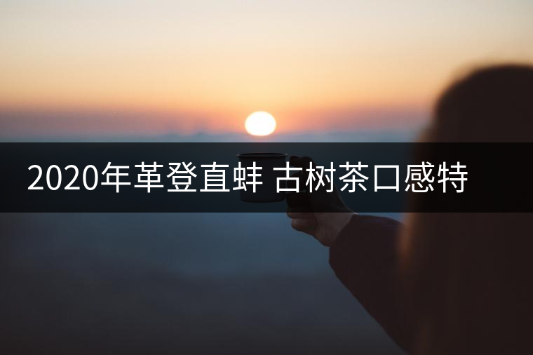 2020年革登直蚌 古樹茶口感特點(diǎn)-易武中聘號(hào) 2020年革登直蚌 古樹茶口感特點(diǎn)-易武中聘號(hào)