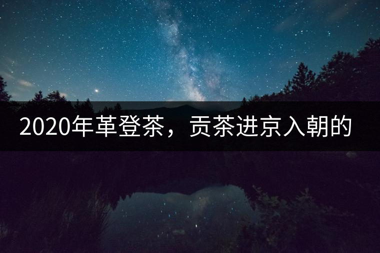 2020年革登茶,貢茶進(jìn)京入朝的首選 -易武中聘號 2020年革登茶,貢茶進(jìn)京入朝的首選 -易武中聘號