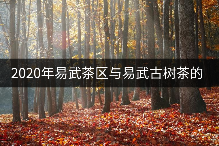 2020年易武茶區(qū)與易武古樹茶的那些事-易武中聘號(hào) 2020年易武茶區(qū)與易武古樹茶的那些事-易武中聘號(hào)