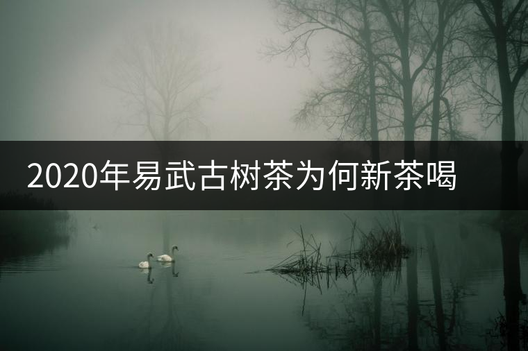 2020年易武古樹茶為何新茶喝時淡卻越放越濃？-易武中聘號