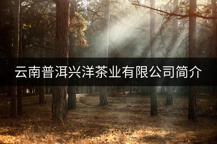 云南普洱興洋茶業(yè)有限公司簡(jiǎn)介 云南普洱興洋茶業(yè)有限公司簡(jiǎn)介