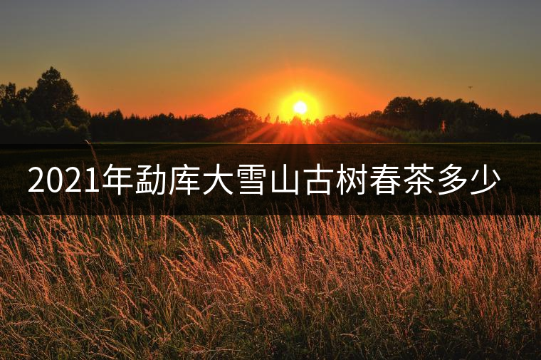 2021年勐庫(kù)大雪山古樹(shù)春茶多少錢一公斤？