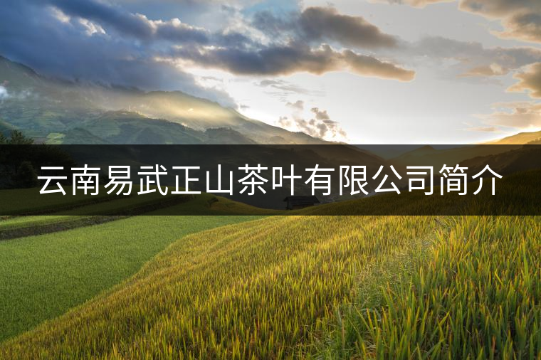 云南易武正山茶葉有限公司簡介