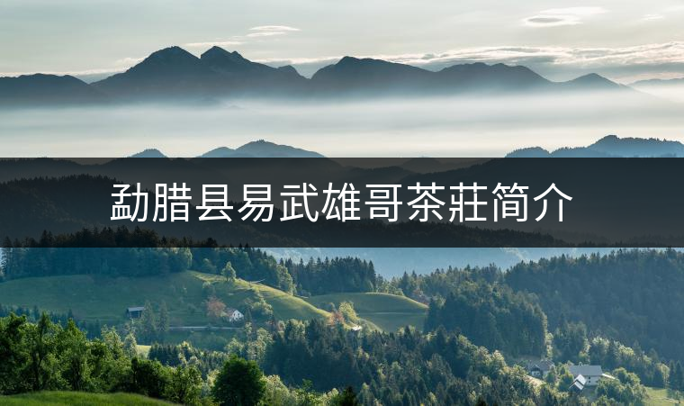 勐臘縣易武雄哥茶莊簡(jiǎn)介 勐臘縣易武雄哥茶莊簡(jiǎn)介