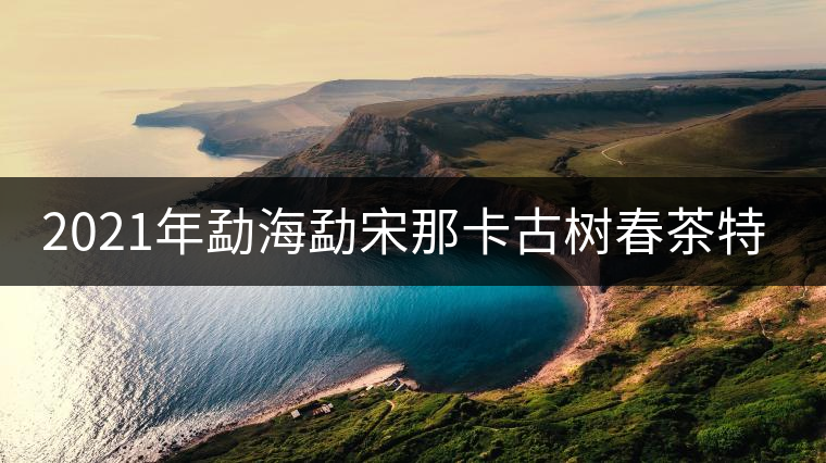 2021年勐海勐宋那卡古樹(shù)春茶特點(diǎn)？