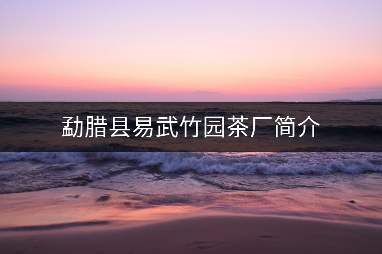 勐臘縣易武竹園茶廠(chǎng)簡(jiǎn)介 勐臘縣易武竹園茶廠(chǎng)簡(jiǎn)介