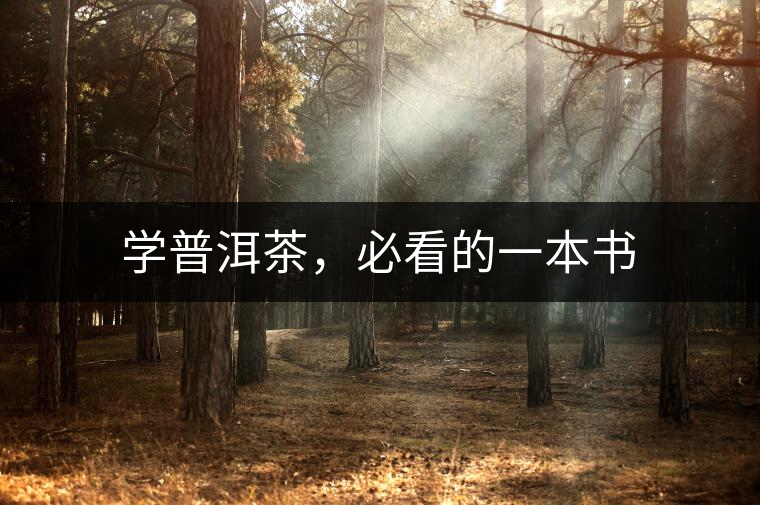 學普洱茶，必看的一本書