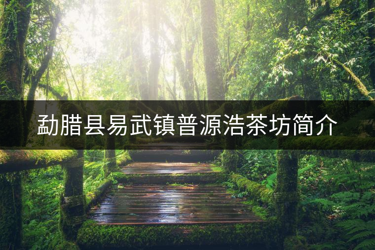 勐臘縣易武鎮(zhèn)普源浩茶坊簡介 勐臘縣易武鎮(zhèn)普源浩茶坊簡介