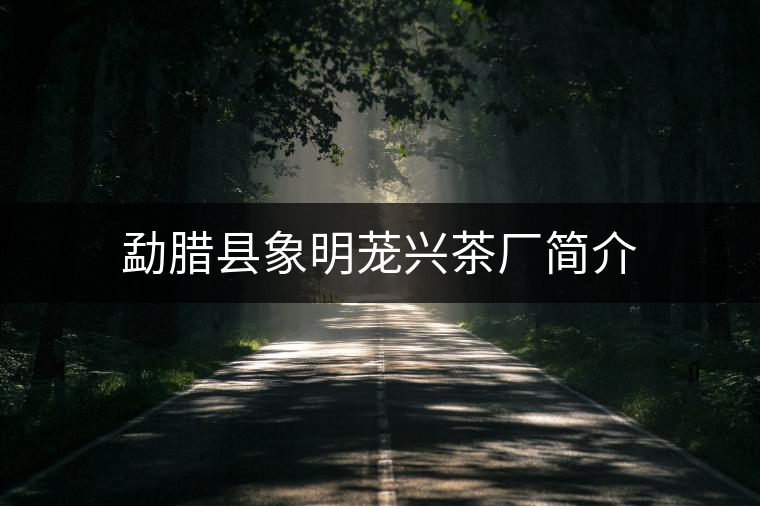勐臘縣象明蘢興茶廠簡介