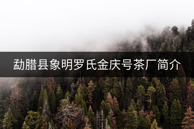 勐臘縣象明羅氏金慶號茶廠簡介
