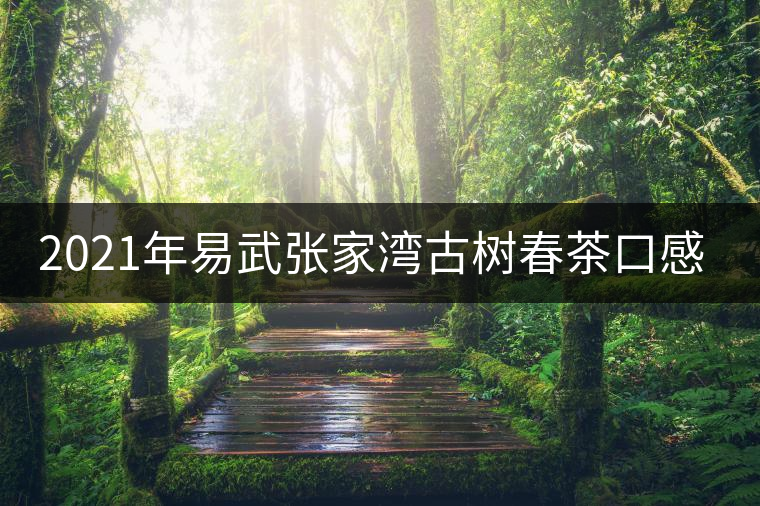 2021年易武張家灣古樹(shù)春茶口感特點(diǎn)介紹 2021年易武張家灣古樹(shù)春茶口感特點(diǎn)介紹