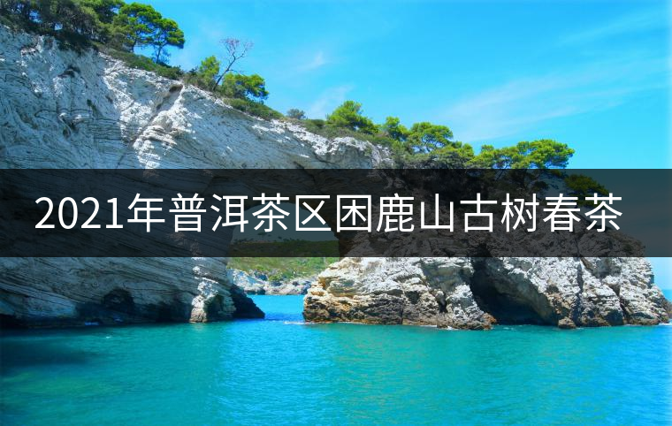 2021年普洱茶區(qū)困鹿山古樹(shù)春茶價(jià)格 2021年普洱茶區(qū)困鹿山古樹(shù)春茶價(jià)格